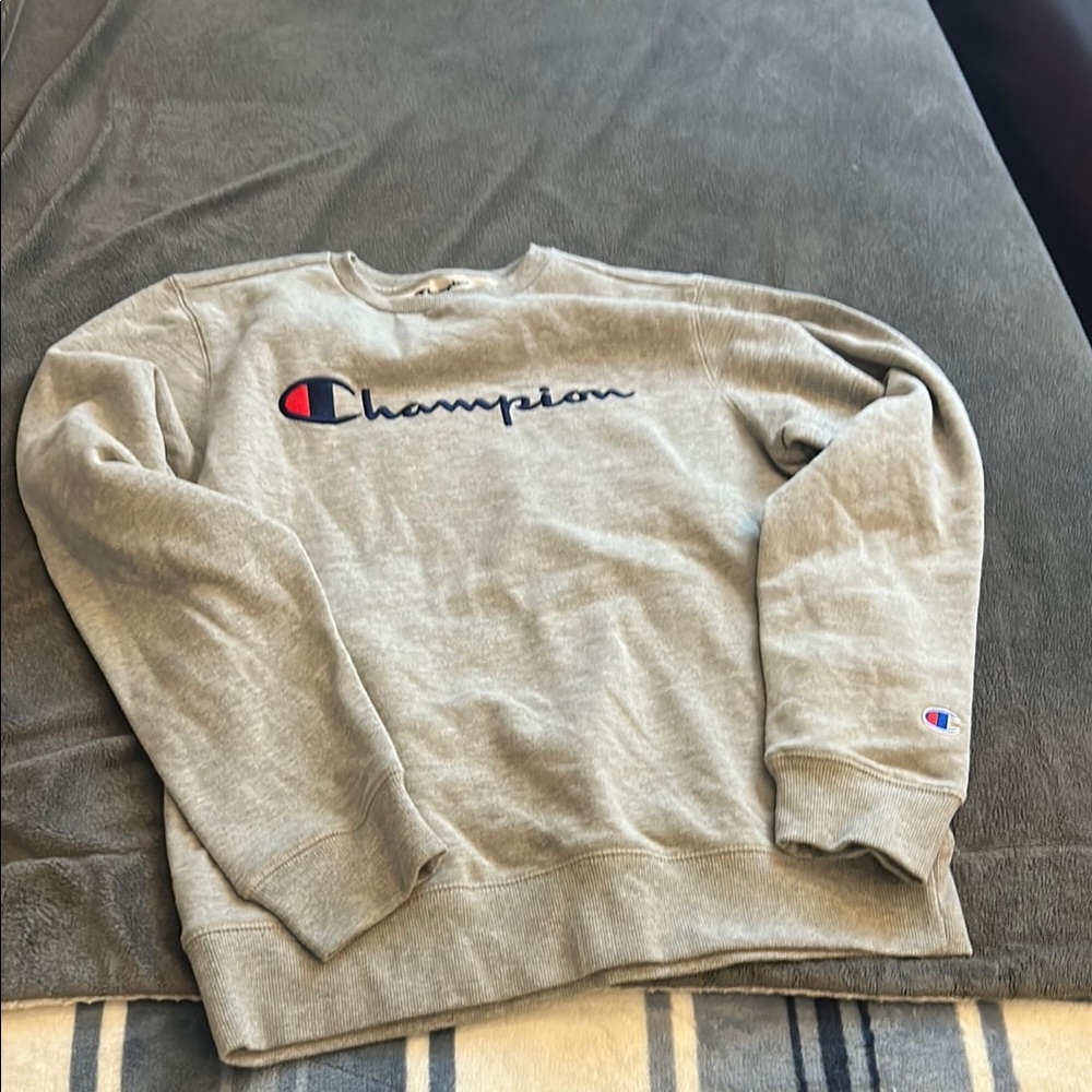 Champion Gray Kids Sweater
